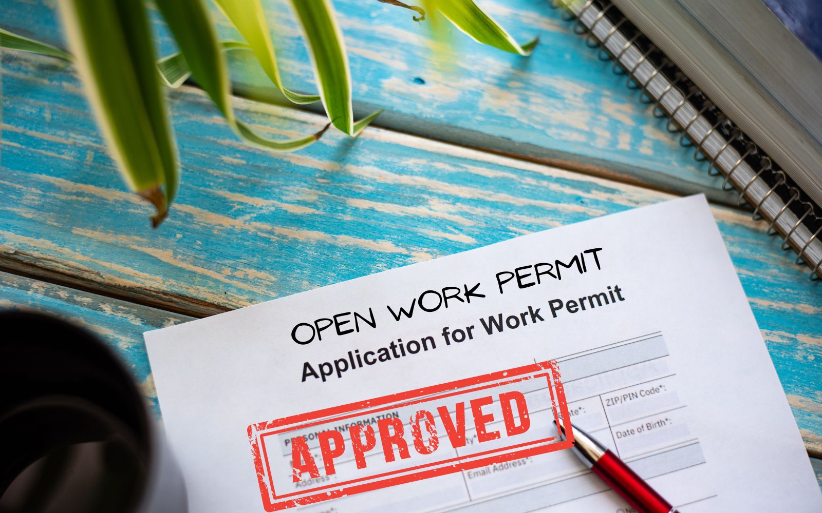 open Work Permit